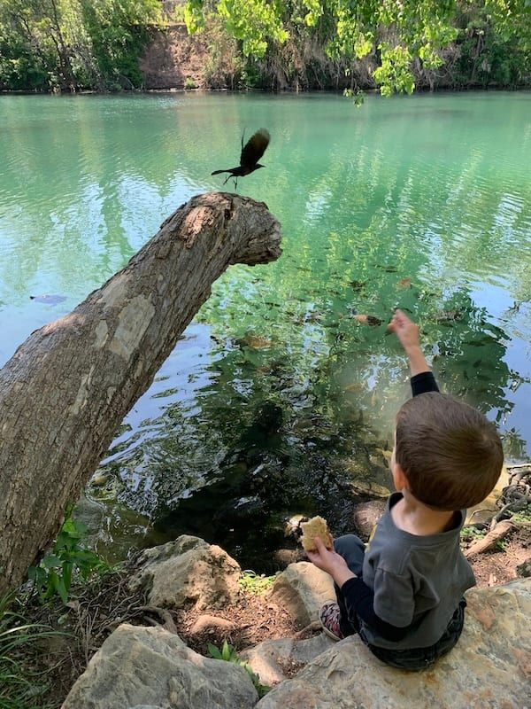Child exploring at the water's edge